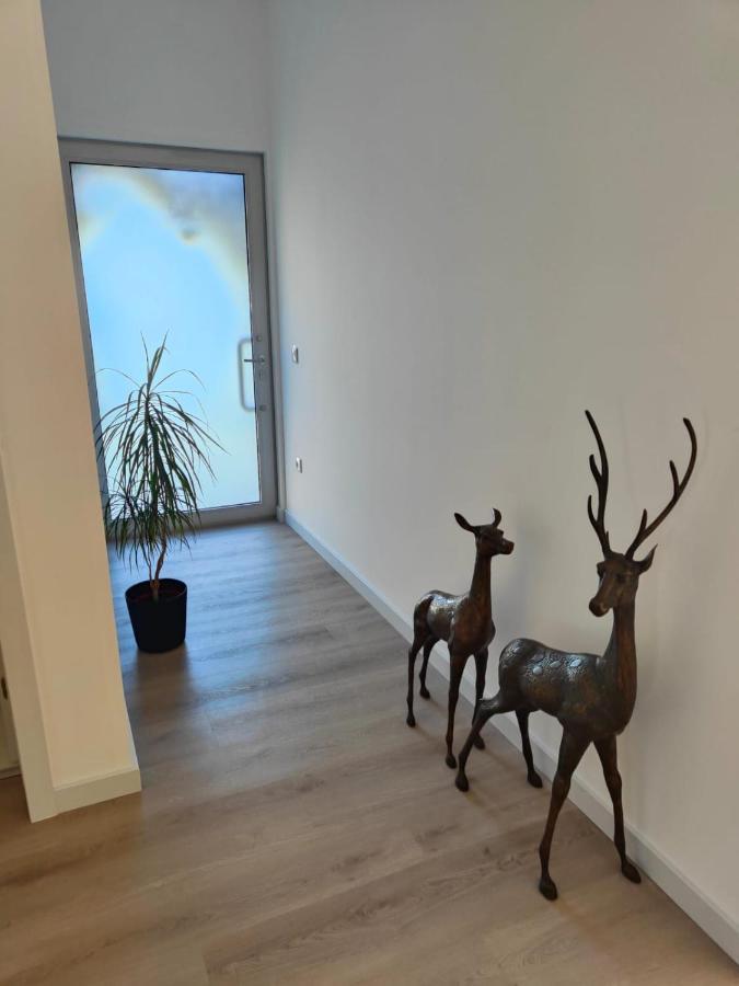 Quinta De Basto House Hotell Felgueiras Exteriör bild